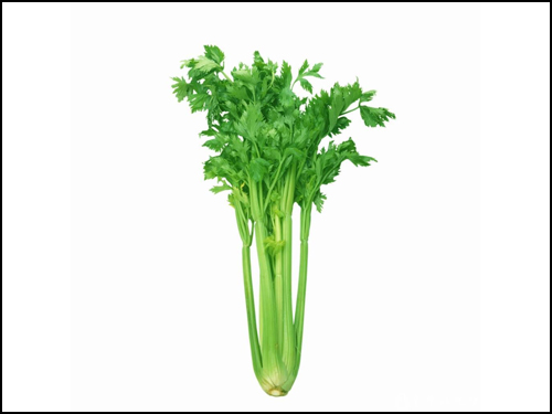芹菜