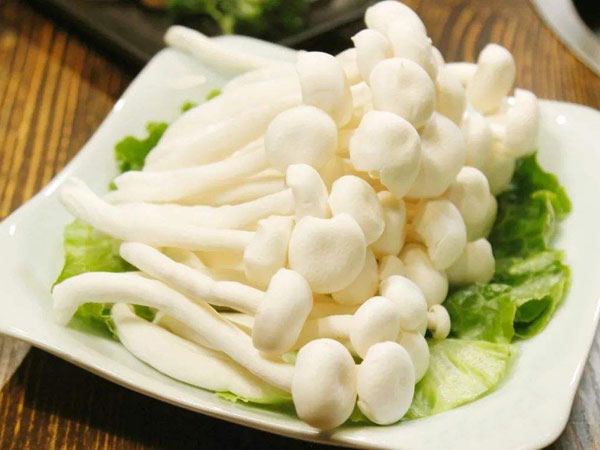 白玉菇
