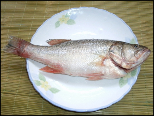 鲈鱼